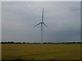 Wind turbine in a wheat field in PE7 2LT