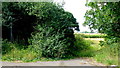 Footpath north from the A40 in Churcham