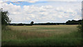 Field that diverts the Roman Road in CB10 2TE