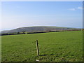 Cae Porfa ger Llain Wen, Llangrannog / Grazing Field near Llain Wen, Llangrannog in SA44 6AX
