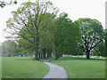 Avenue of Trees, Chyknell Park, Shropshire in WV5 7BP
