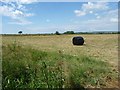 Baled hay, King's Sedge Moor in TA10 9BG
