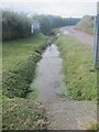 A small stream flowing out of marshland below Winterton Farm in SA62 3AS