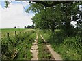 Track to West Ditchburn in Eglingham