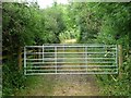 Pair of gates on the track up Barrington Hill in TA19 9LW