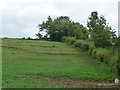 Farmland on the south-west slopes of Barrington Hill in TA19 9LW