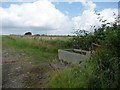 Water trough, Barrington Hill in TA3 6UE