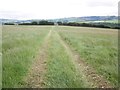 Farm track, above Harwood Brakes in TA24 7UH