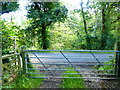 Footpath reaches Cuckfield Road near West Riddens in RH17 5AJ