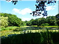 Brewhouse Pond seen from footpath in RH17 5AJ