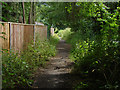 Footpath by the River Wey in KT14 7RS