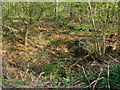 Possible bomb crater, Hen's Wood near Marlborough in SN8 2HW