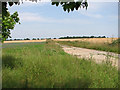 Fields east of Guton Hall in NR10 4PH