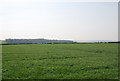Farmland near Winterborne Whitechurch in DT11 0AB