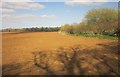 Tilled field east of Broadwindsor in DT8 3ST