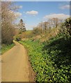 Monarch's Way east of Broadwindsor in DT8 3ST