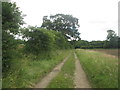 Footpath between Bog Hall and Spring Wood in YO60 7DF