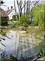 Village Pond, East Tisted in GU34 3QQ