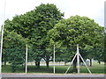 Perimeter fence and trees in Kinloss