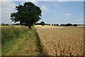Bridleway approaching Bank Farm in WR6 6LS