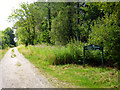 Track into part of Forest of Bere in PO17 6DB