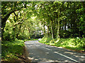 Road by Tylers Copse in PO17 6BJ