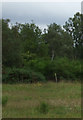 Grazing and woodland in IV36 2WT