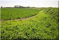 Field near Philleigh Farm in PL20 7HH