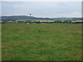Grazing towards Little Kildrummie in IV12 5SH
