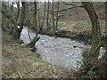A glimpse of the Afon Garw/River Garw near Tylagwyn in CF32 8NY