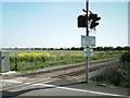 Level crossing on the R.H.D.R. in TN29 0UA