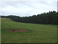 Grazing and woodland, Kennieshillock in IV32 7LJ