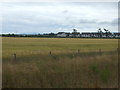 Crop field west of Mosstodloch in IV32 7LP