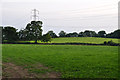 Mid Devon : Grassy Field in EX15 1GY