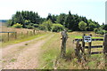 Track into Woodland at Black Hill in KA19 8HR