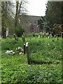 St Michaels Churchyard, Tettenhall in WV6 9AR