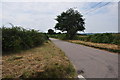 North Devon : Country Lane in EX36 4ER