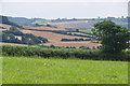 North Devon : Grassy Field in EX36 4LB