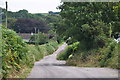 North Devon : Country Lane in EX36 4LB
