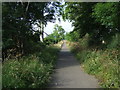 Cycle path behind Knocknagael in IV2 6BQ