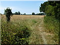 Footpath to Cockyhoop Cottage and Clarke's Farm in PE32 2JR