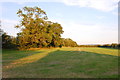 Field by the Gate Inn Brook in WR11 7PB