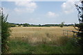 Field near Blakemore Farm Stables in GL55 6XX