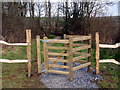Gat Fochyn Allt y Ci Wood Kissing Gate in SA31 3QU