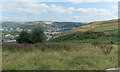 Valley view from Rhiwgarn, Trebanog in CF39 9EX