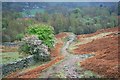 Footpath From Grisedale in CA11 0NL