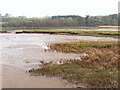 Teign mudflat and marsh in TQ14 9PT