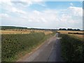 Lane and Crop Fields near Shirebrook in NG20 8RU