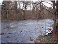 River Ericht at Blairgowrie in PH10 6NH