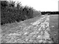 Concreted road in a field in PE32 2LE